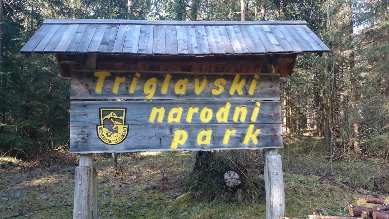 Zajcek Apartma Mojstrana Exterior photo