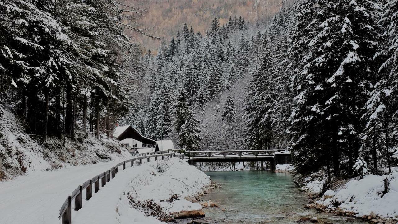 Zajcek Apartma Mojstrana Exterior photo