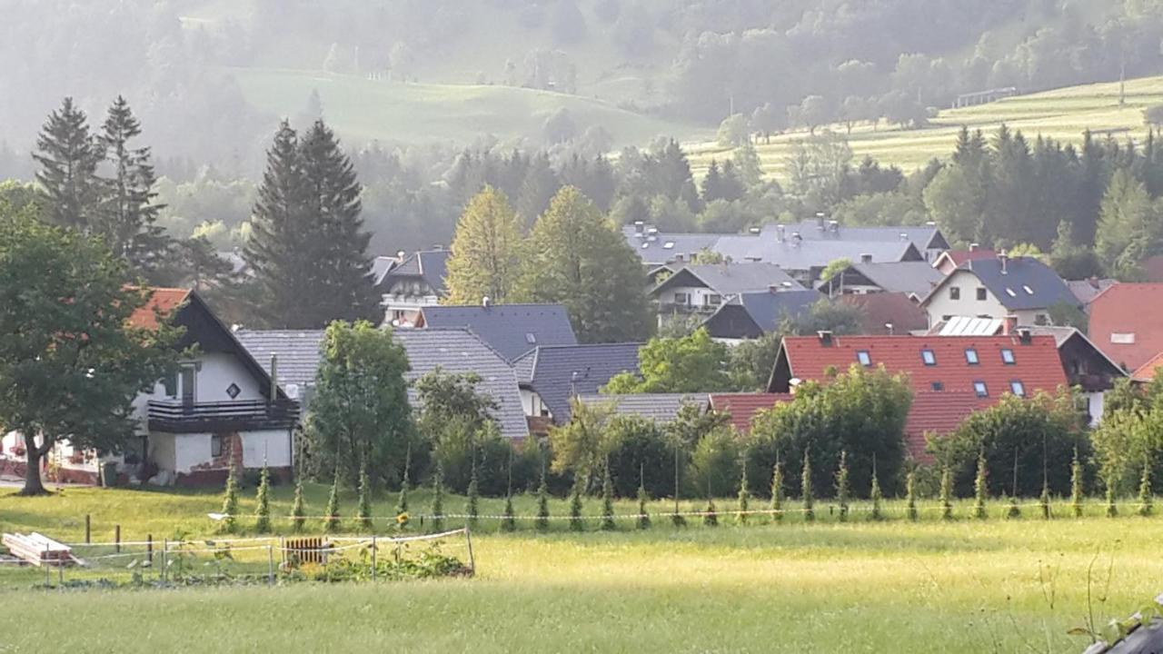 Zajcek Apartma Mojstrana Exterior photo